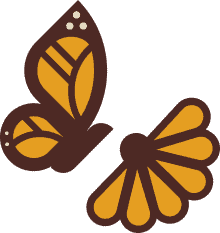 Two monarch butterflies
